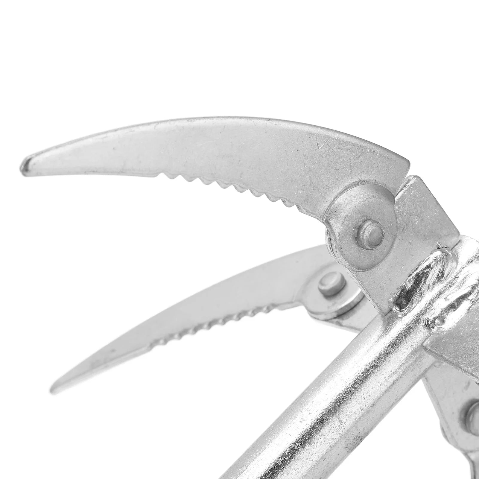 Faltbarer Angel-Wassergras-Messer mit 10m Seil – clever-campen Ansicht 5