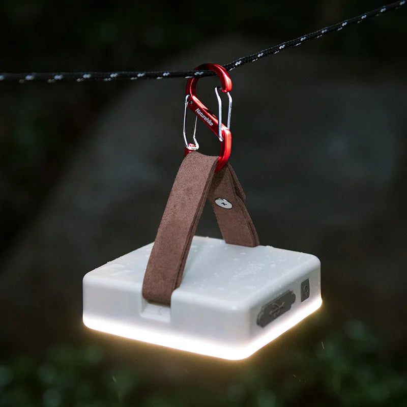 Naturehike S-förmiger Aluminium Karabiner für Rucksäcke – clever-campen Ansicht 2