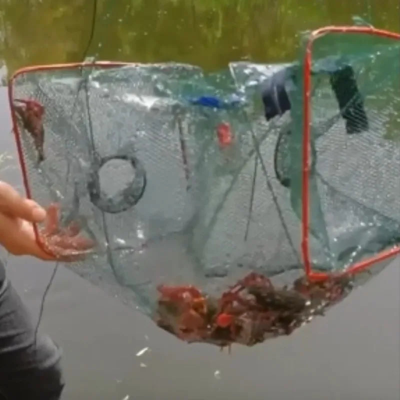 Kollabierbarer Fischfangkorb für Angler – clever-campen Ansicht 4