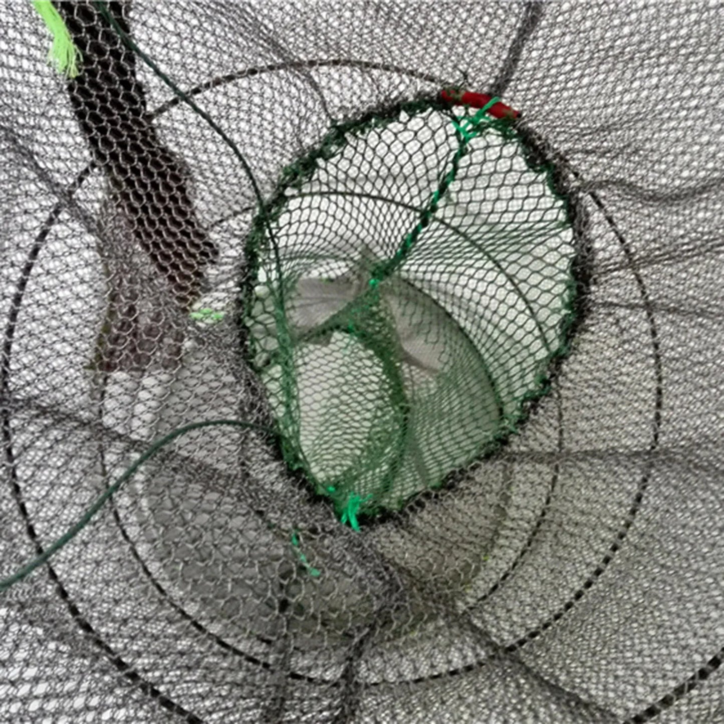 Kollapsbarer Fischkäfig aus Nylon und Stahl für Krabben – clever-campen Ansicht 4