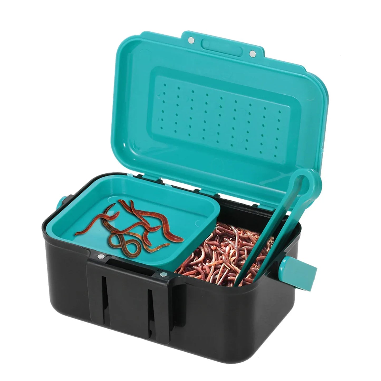 Tragbare Angelköderbox für lebende Köder und Würmer – clever-campen Camping & Outdoor Schweiz