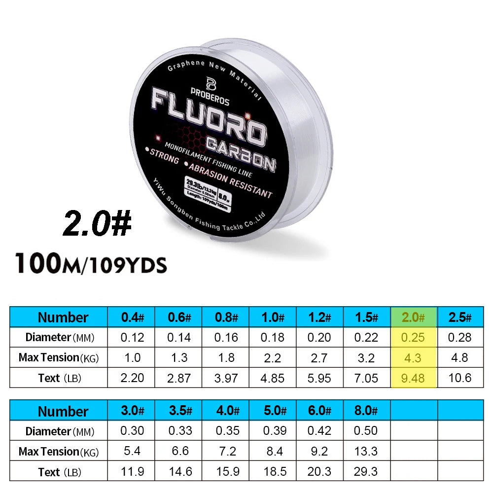 PROBEROS 100M Fluorocarbon Angelvorfach 2.2LB-29.3LB